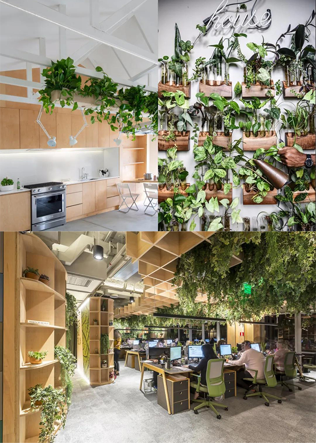 �H�����O(sh��)Ӌ