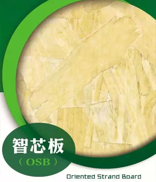 ѩ����о��-���ʮ��Ʒ��-OSB�����W�ɰ�