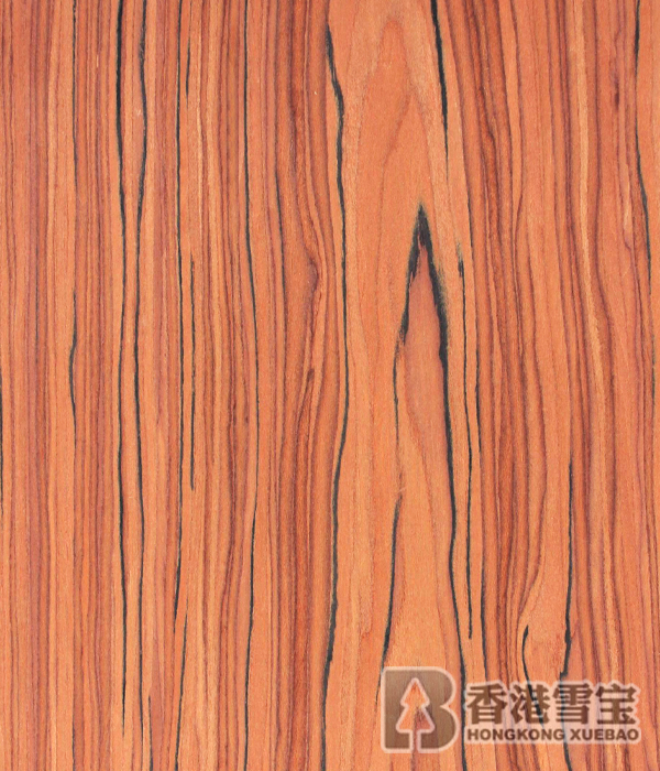 ��ͯ��������