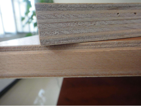 ��(sh��)ľָ�Ӱ�