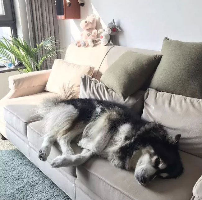 ���Ќ�������b���Լ��ļ������@Щ�����܎��톢�l(f��)��