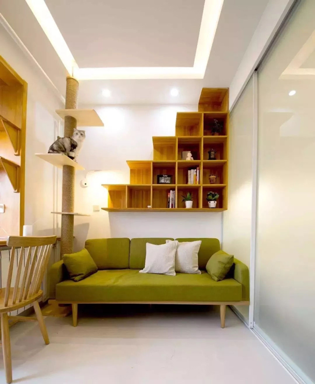 ���Ќ�������b���Լ��ļ��أ��@Щ�����܎��톢�l(f��)��