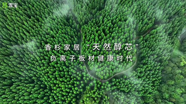 ��ʲôҪ�I��ľ��������¹�