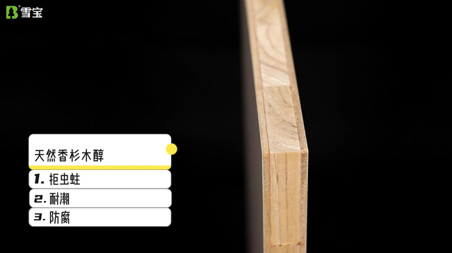 ��ʲôҪ�I��ľ��������¹�