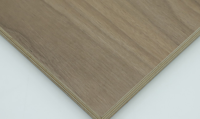 ���B(t��i)����ʲô�����B(t��i)����ʲô��(y��u)�ݣ�