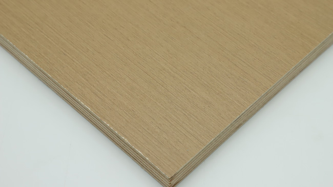 �Ҿ߰���ʲô����ʲôҪ�x��Ҿ߰���